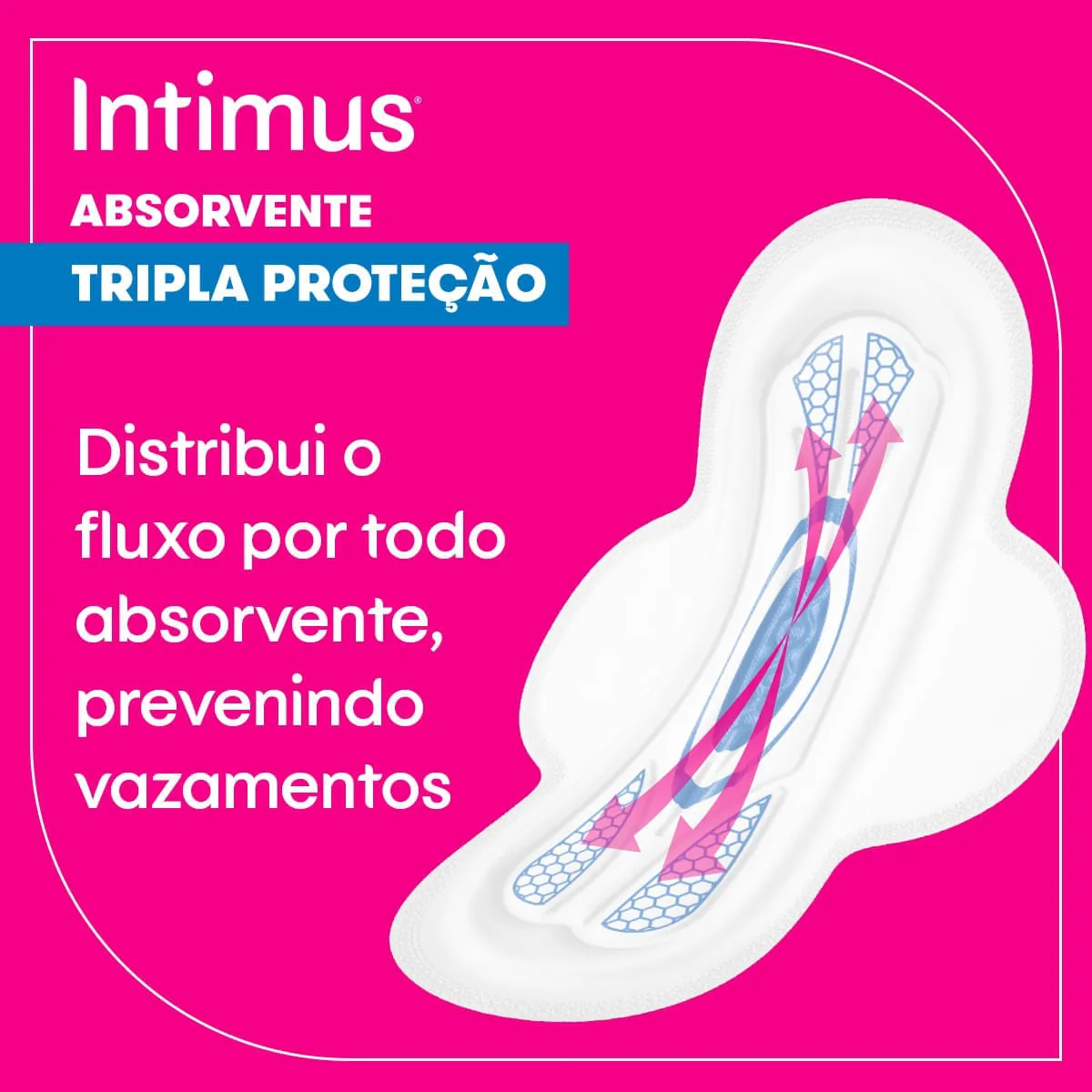 Absorvente Intimus Toda Protegida Dia Seca Com abas - 42 un — foto 12