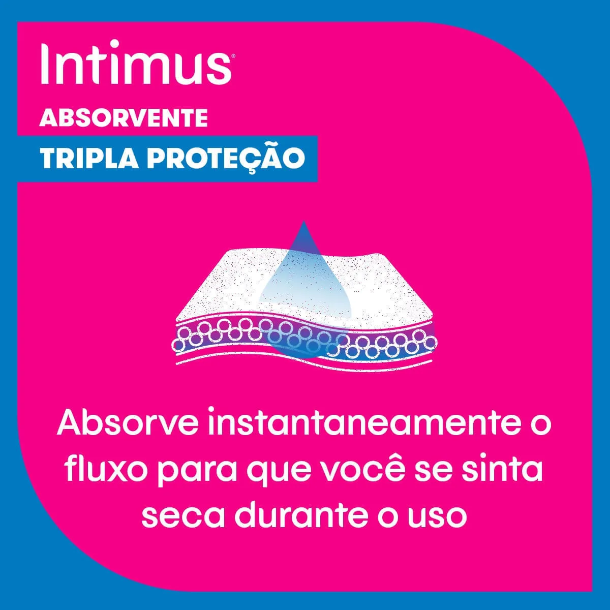 Absorvente Intimus Toda Protegida Dia Seca Com abas - 42 un — foto 11