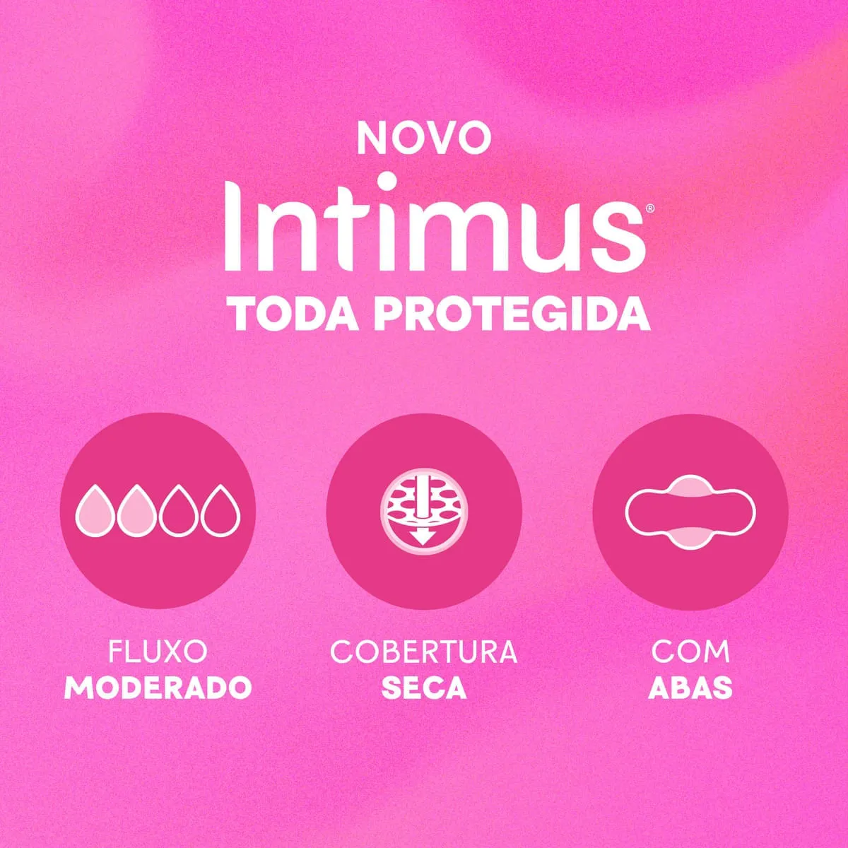 Absorvente Intimus Toda Protegida Dia Seca Com abas - 42 un — foto 10