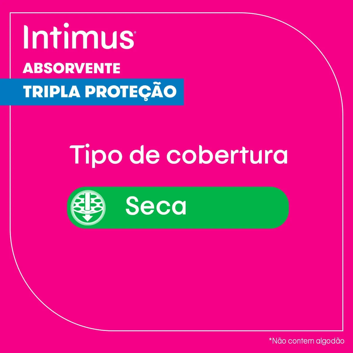 Absorvente Intimus Toda Protegida Dia Seca Com abas - 42 un — foto 14