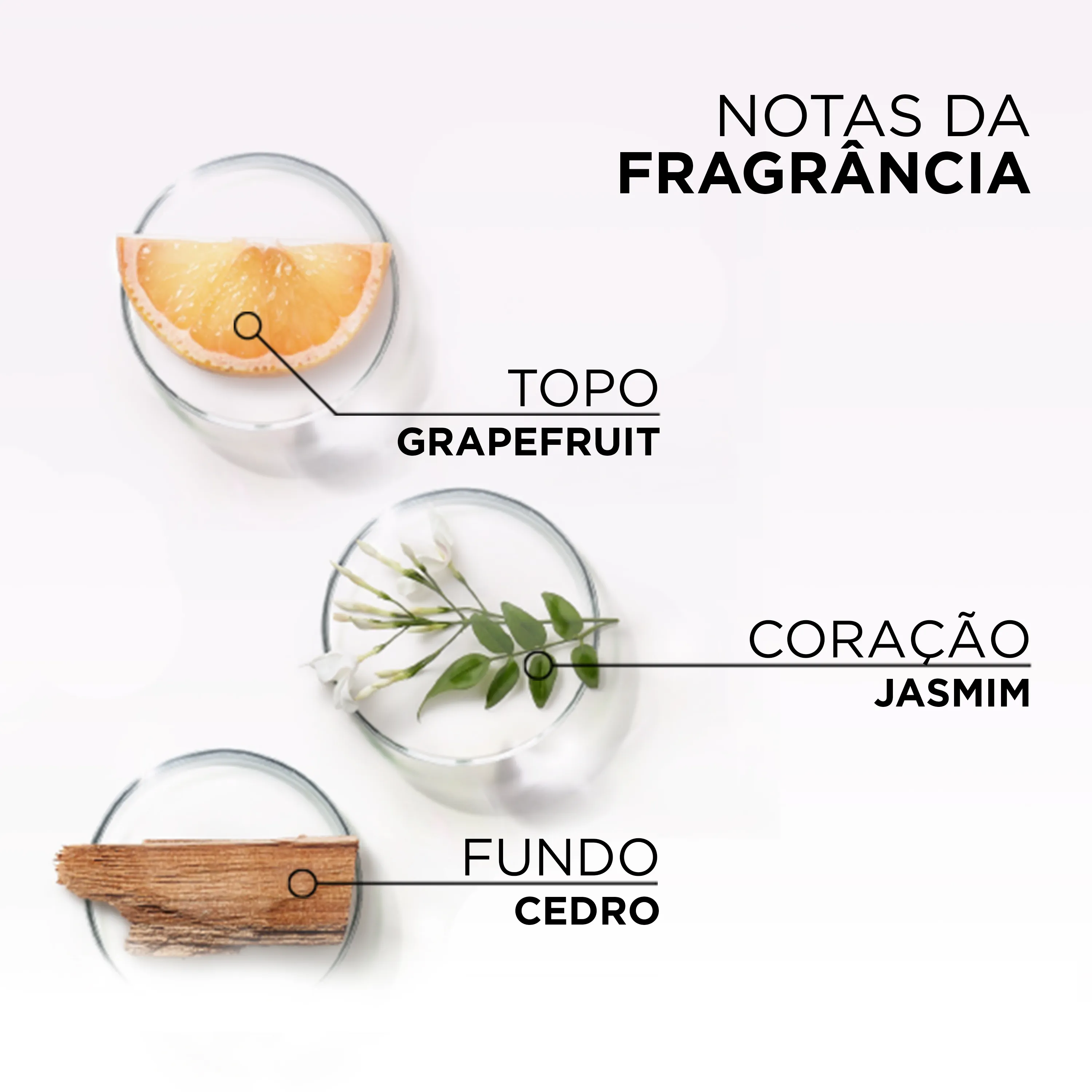Condicionador Elseve Glycolic Gloss Sela Gloss 200ml — foto 7