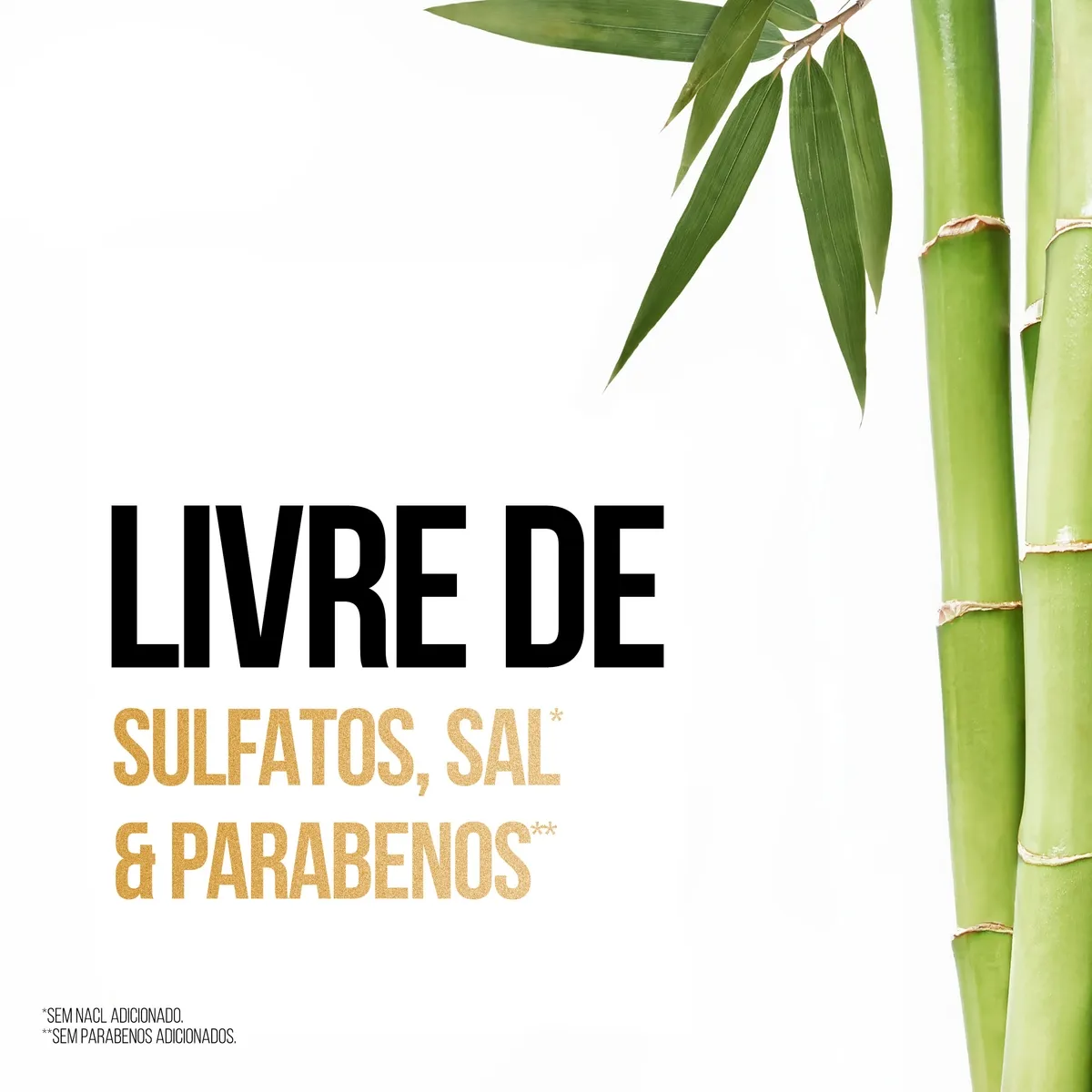 Máscara de Tratamento Pantene Pro-V Bambu Nutre & Cresce 600ml — foto 5