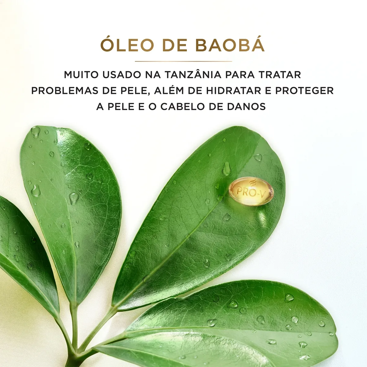 Shampoo Pantene Pro-V Miracles Equilíbrio Raiz & Pontas 300ml — foto 6